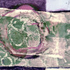 Lemon Peely rose - Thumbnail View 1