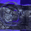 Lemon Peely blue - Thumbnail View 1