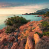 Paradiso II - Thumbnail View 1