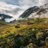 Pure Norway - Thumbnail View 1