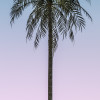 Skyhigh - Thumbnail View 1