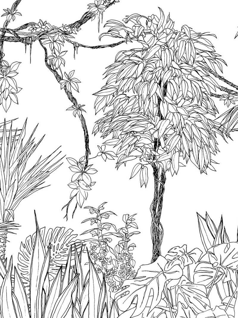 Blanca - Thumbnail View 1