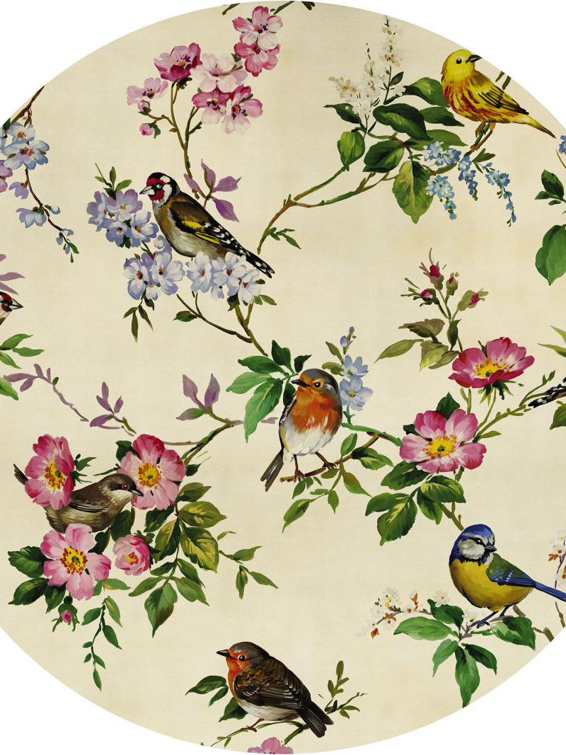 Bird Party - Thumbnail View 1