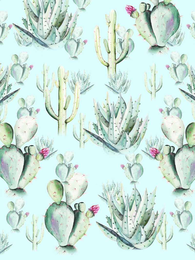 Cactus Blue - Thumbnail View 1
