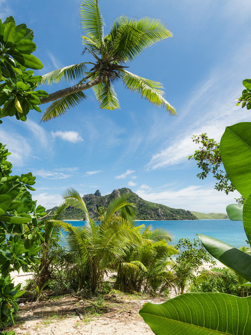 Cast Away Jungle  - Thumbnail View 1