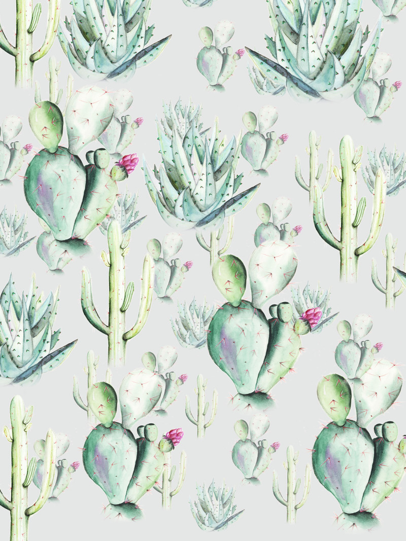 Cactus Grey - Thumbnail View 1