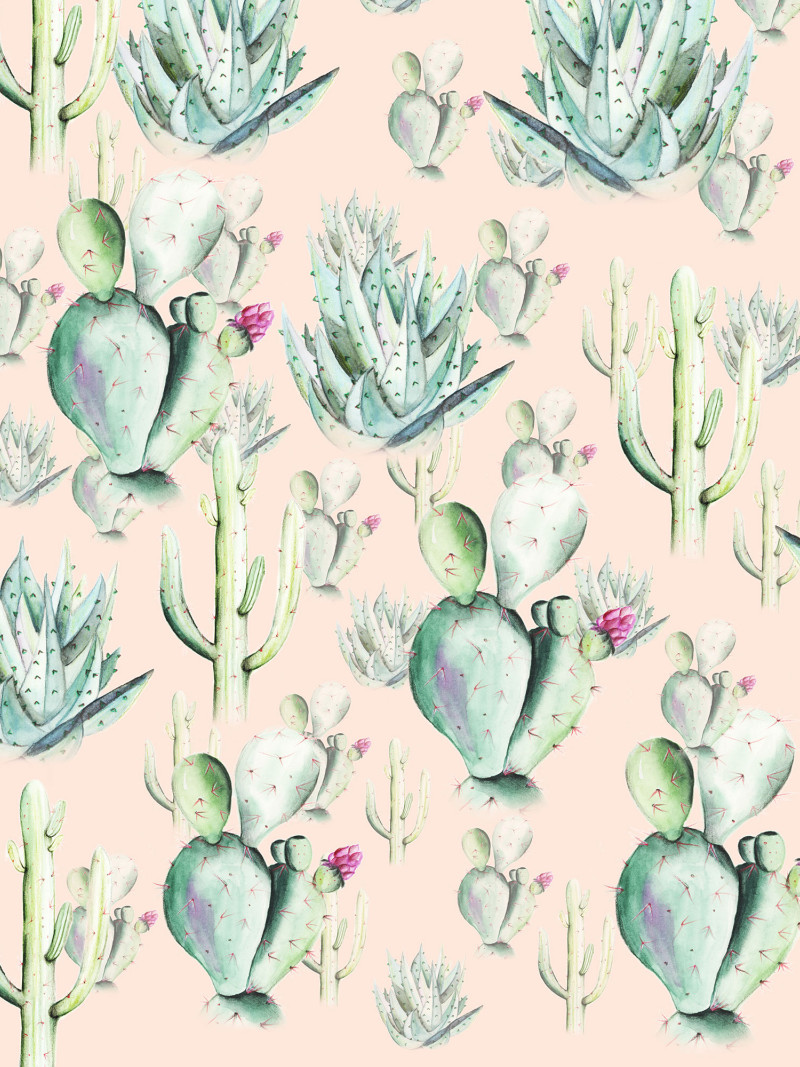 Cactus Rose - Thumbnail View 1