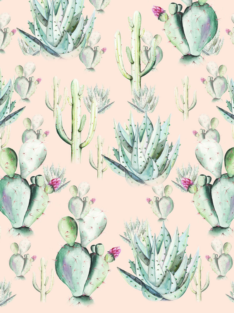 Cactus Rose - Thumbnail View 1
