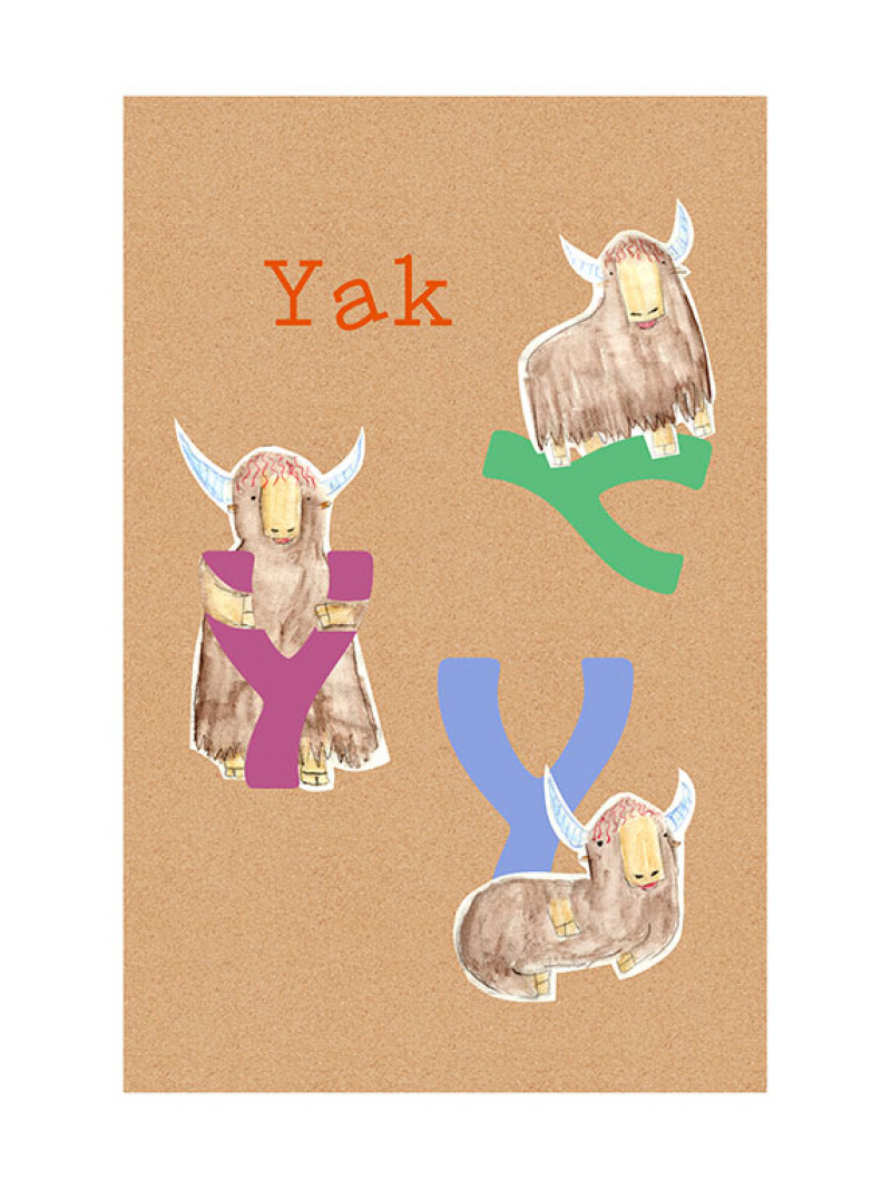 ABC Animal Y - Thumbnail View 1