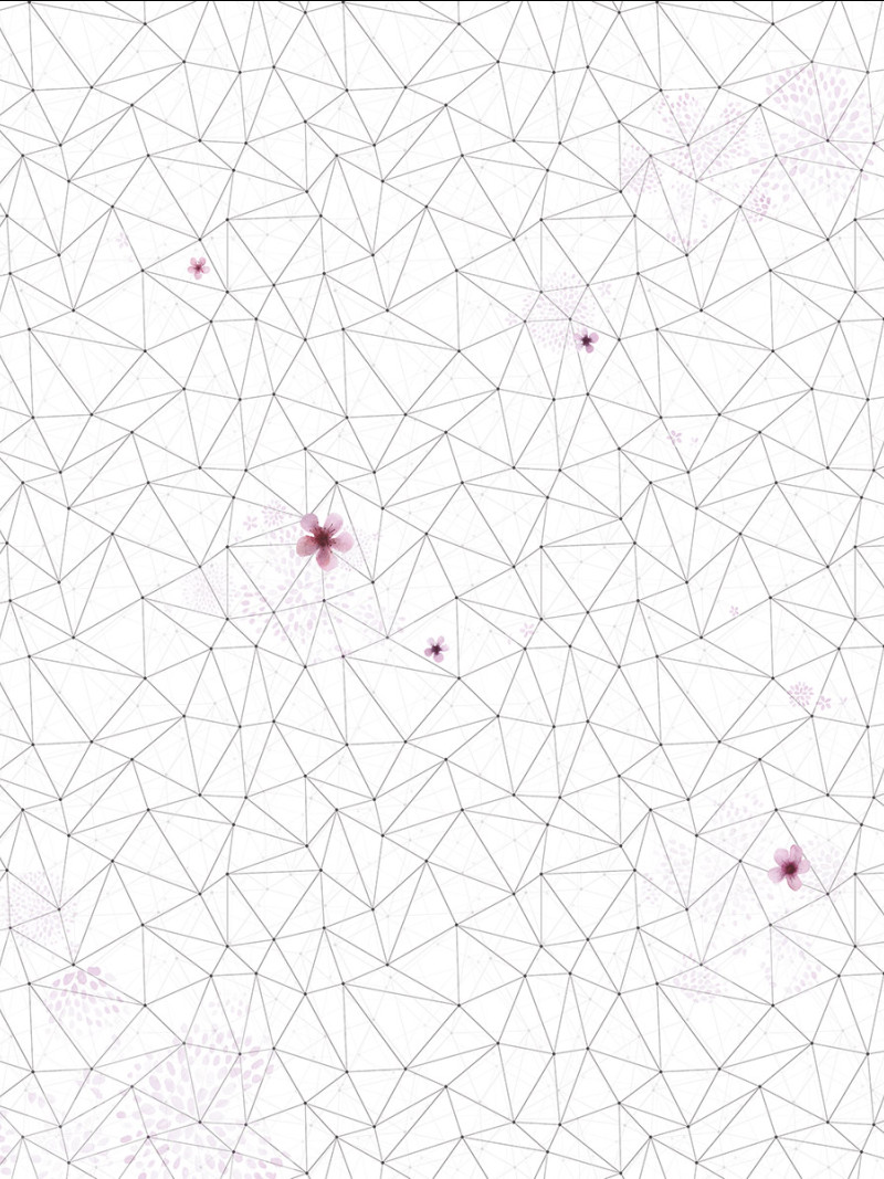 Cherry Blossom - Thumbnail View 1