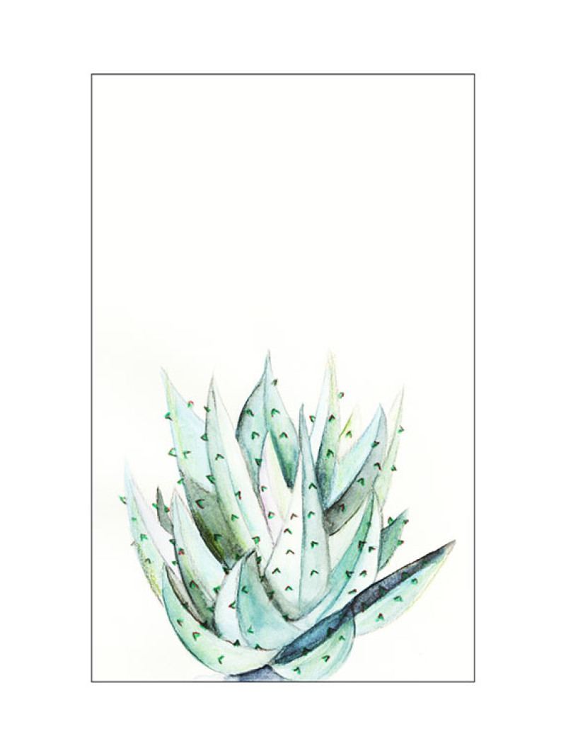 Aloe Watercolor - Thumbnail View 1