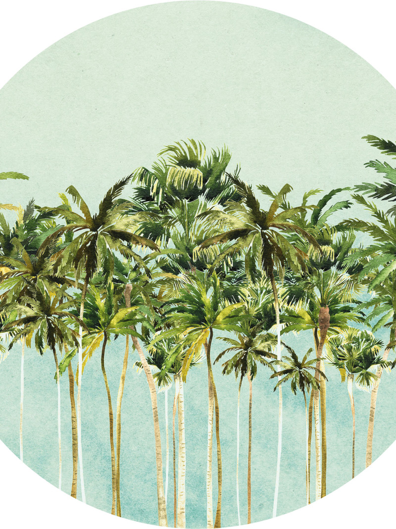 Coconut Trees - Thumbnail View 1