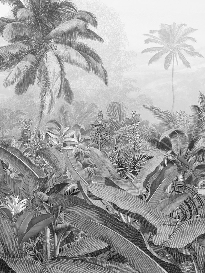 Amazonia Black and White - Thumbnail View 1