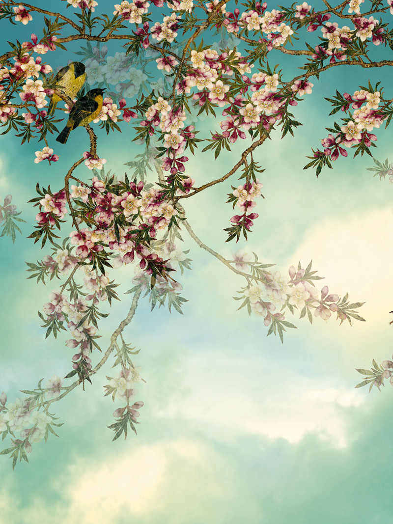 Sakura - Thumbnail View 1