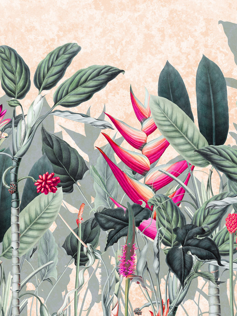 Soft Jungle - Thumbnail View 1