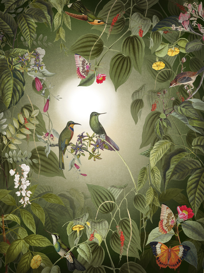 Wildlife Birds - Thumbnail View 1