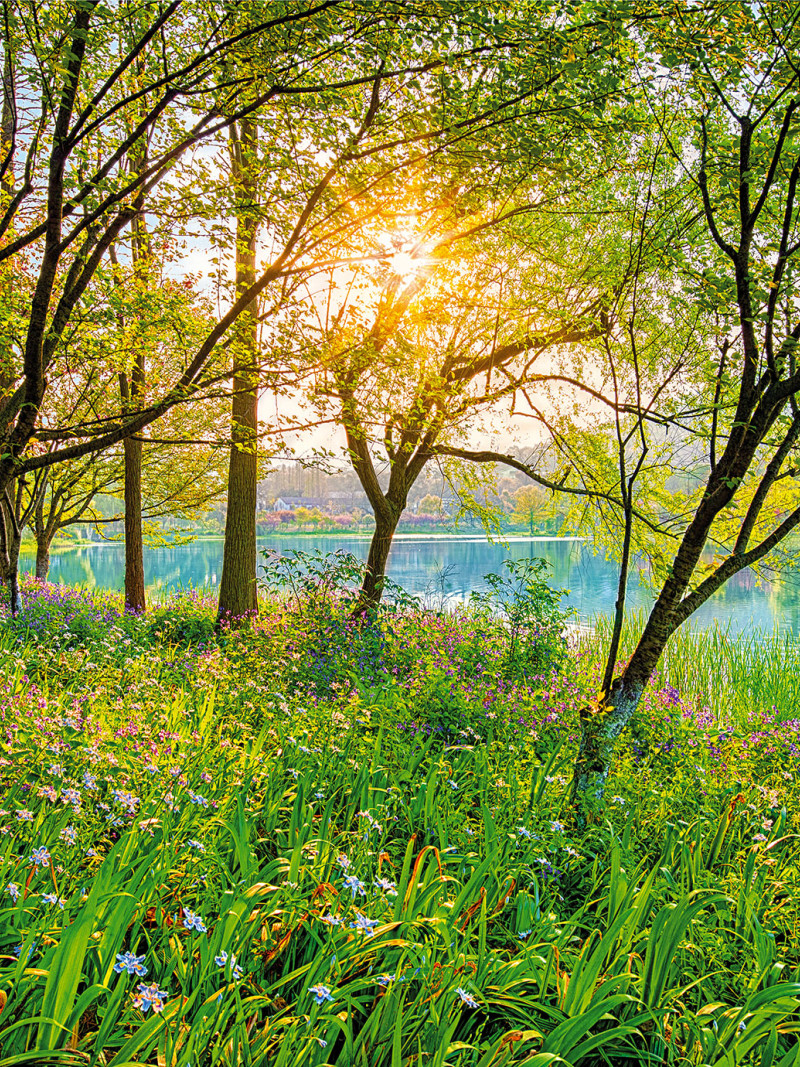 Spring Lake - Thumbnail View 1