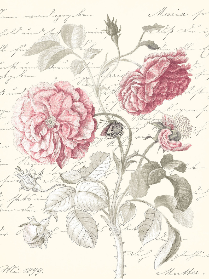 Poème Rose - Thumbnail View 1