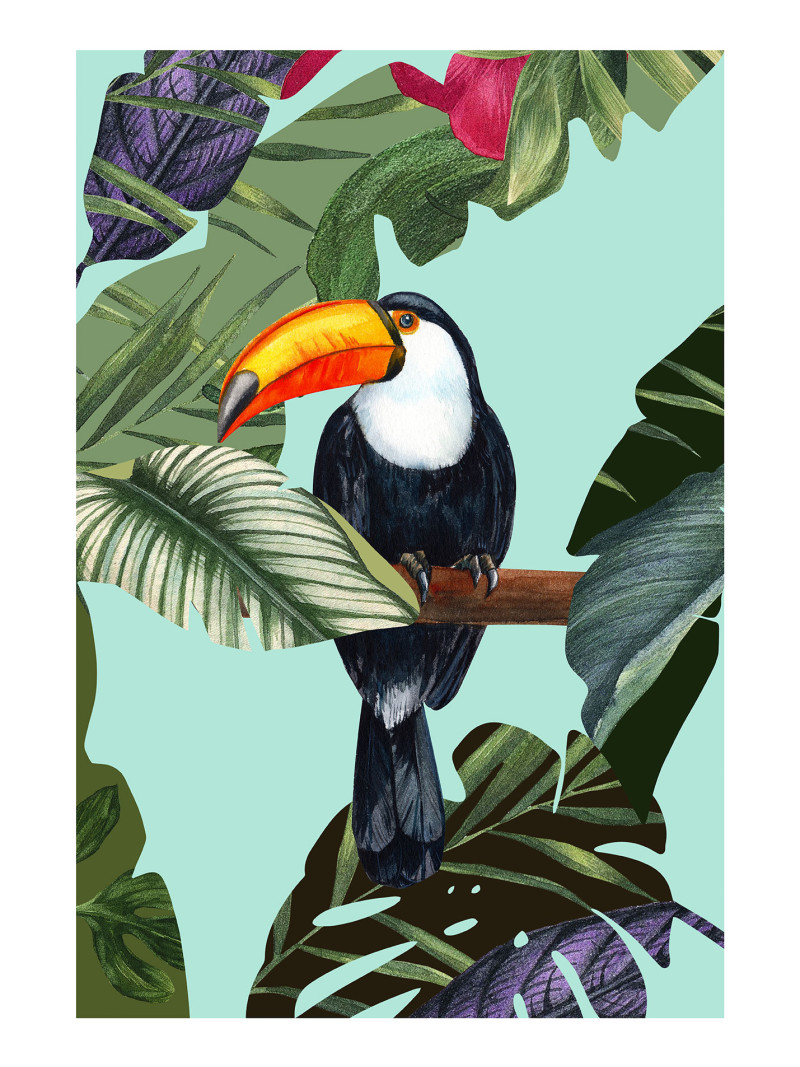 Toco Toucan - Thumbnail View 1