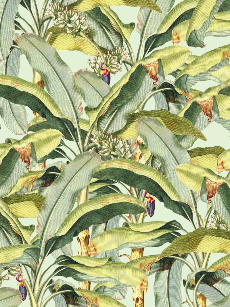 Banana Grove - Thumbnail View 1