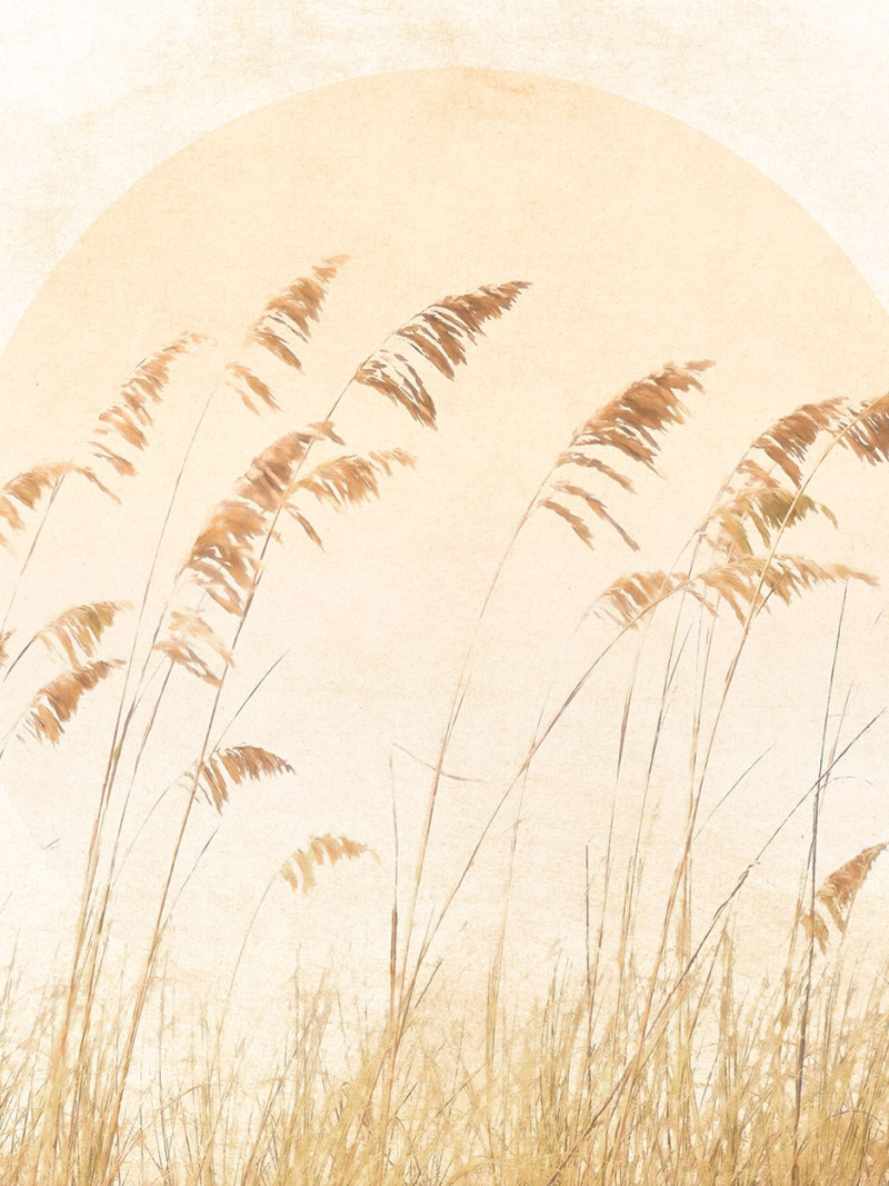 Dune Grass - Thumbnail View 1