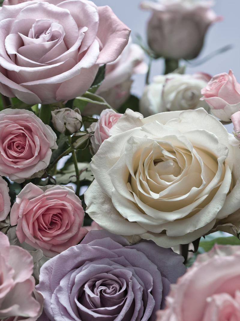 Floraison - Thumbnail View 1