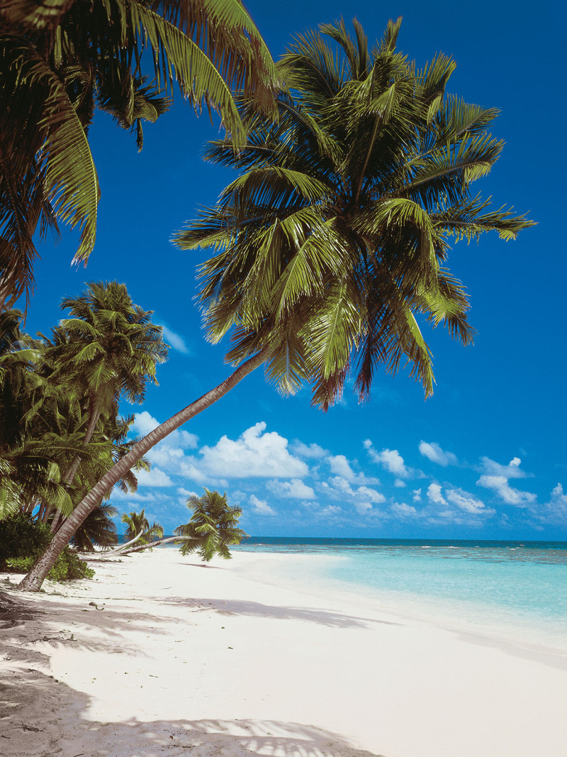 Maldives - Thumbnail View 1