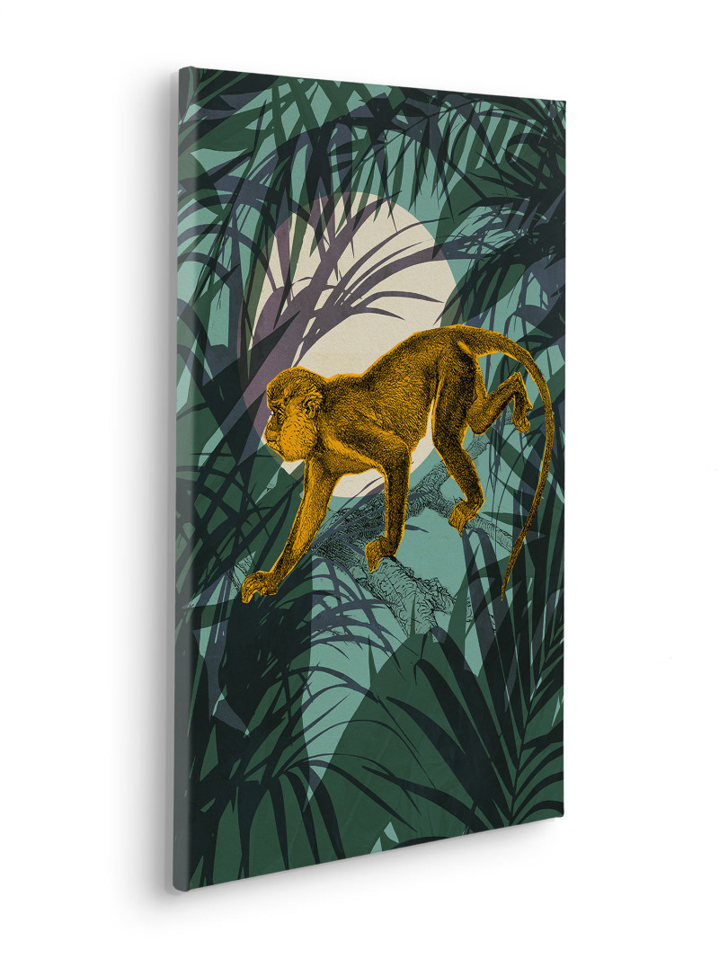 Sneaky Monkey - Thumbnail View 1