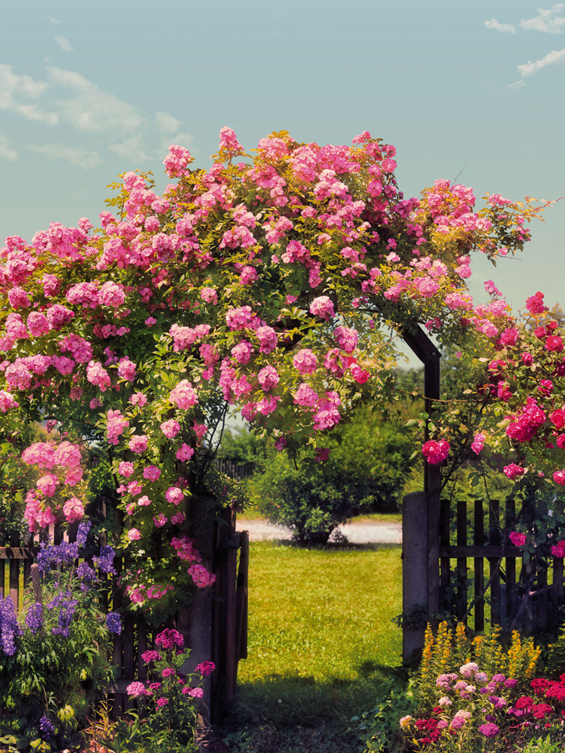 Rose Garden - Thumbnail View 1