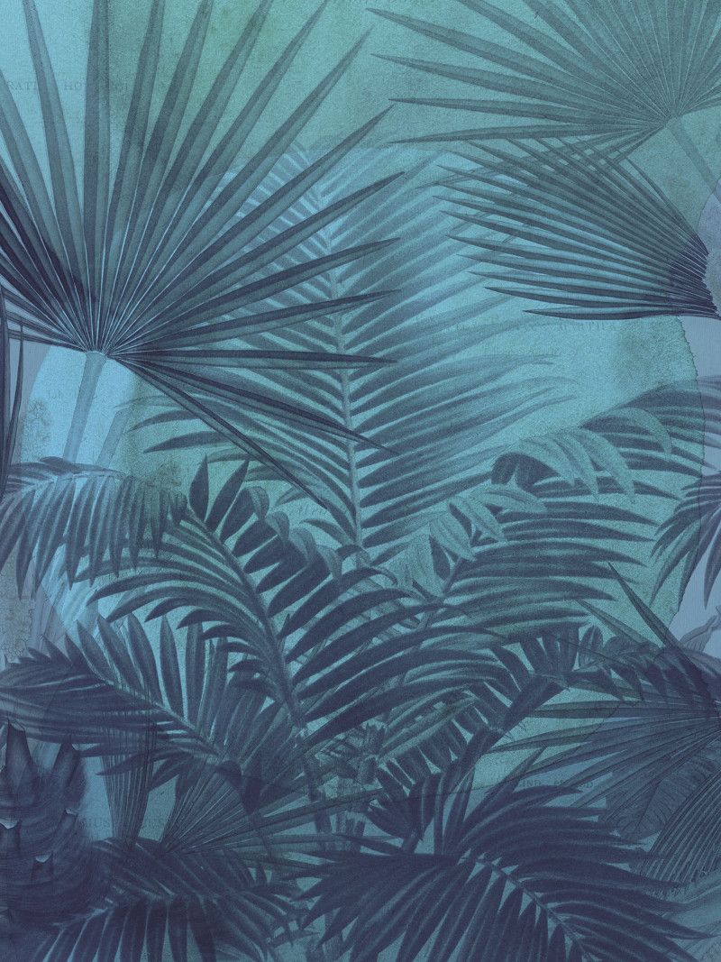 Transparency - Thumbnail View 1
