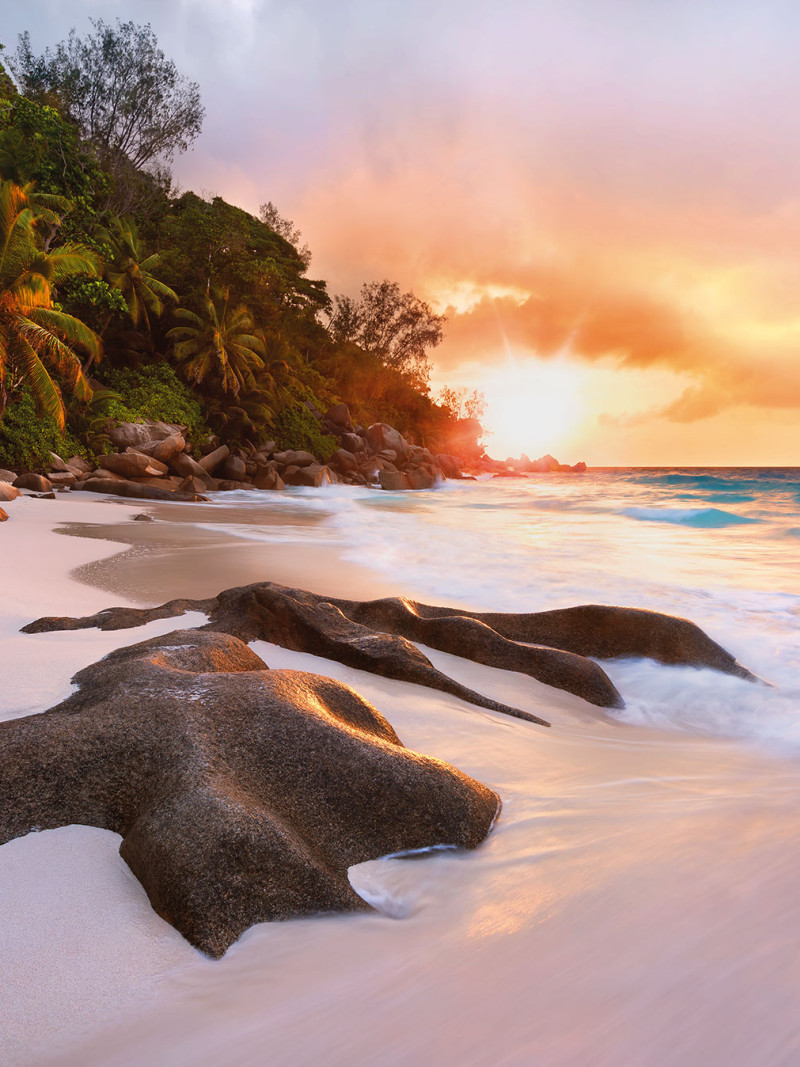 Nature - Thumbnail View 1