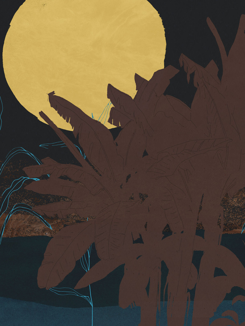 Supermoon - Thumbnail View 1