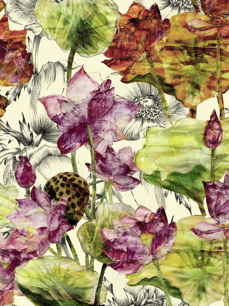 Lotus - Thumbnail View 1