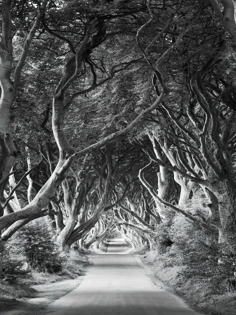 Forevenue - Thumbnail View 1