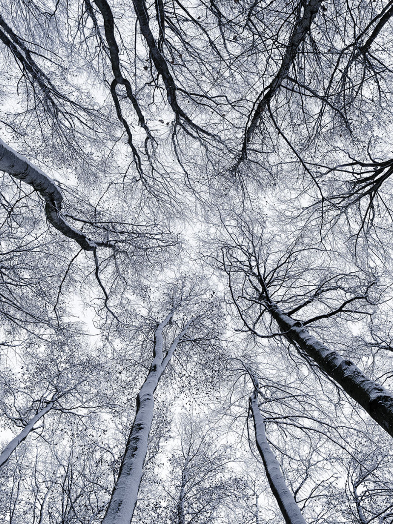 Up - Thumbnail View 1