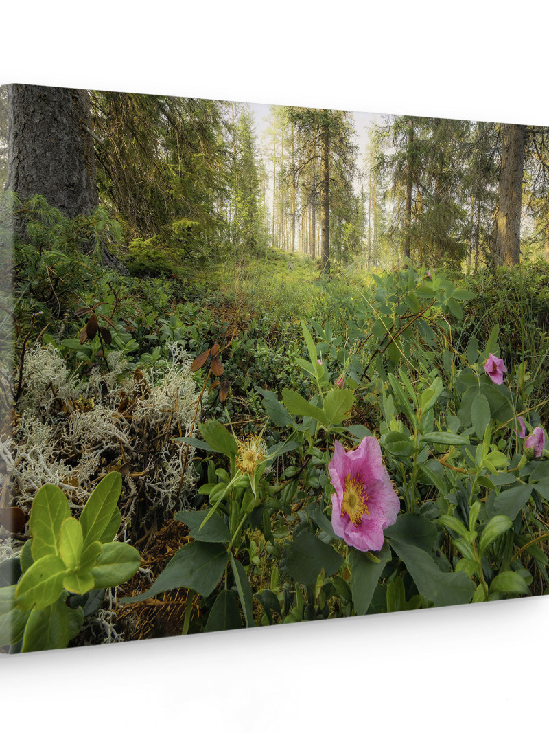 Charming Woods - Thumbnail View 1