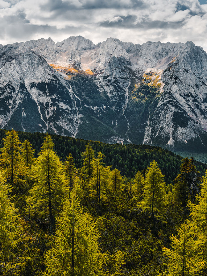 Wild Dolomites - Thumbnail View 1