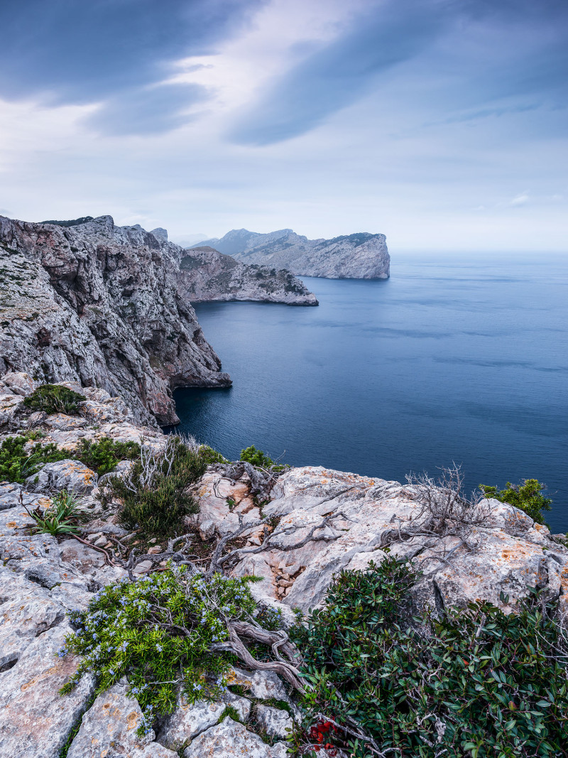 Bizarre Coast - Thumbnail View 1