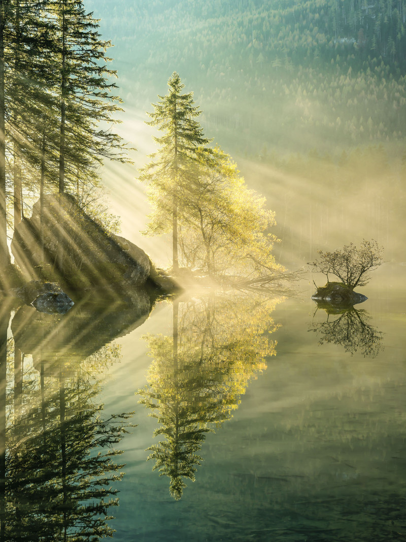 Indulgence of Beauty - Thumbnail View 1