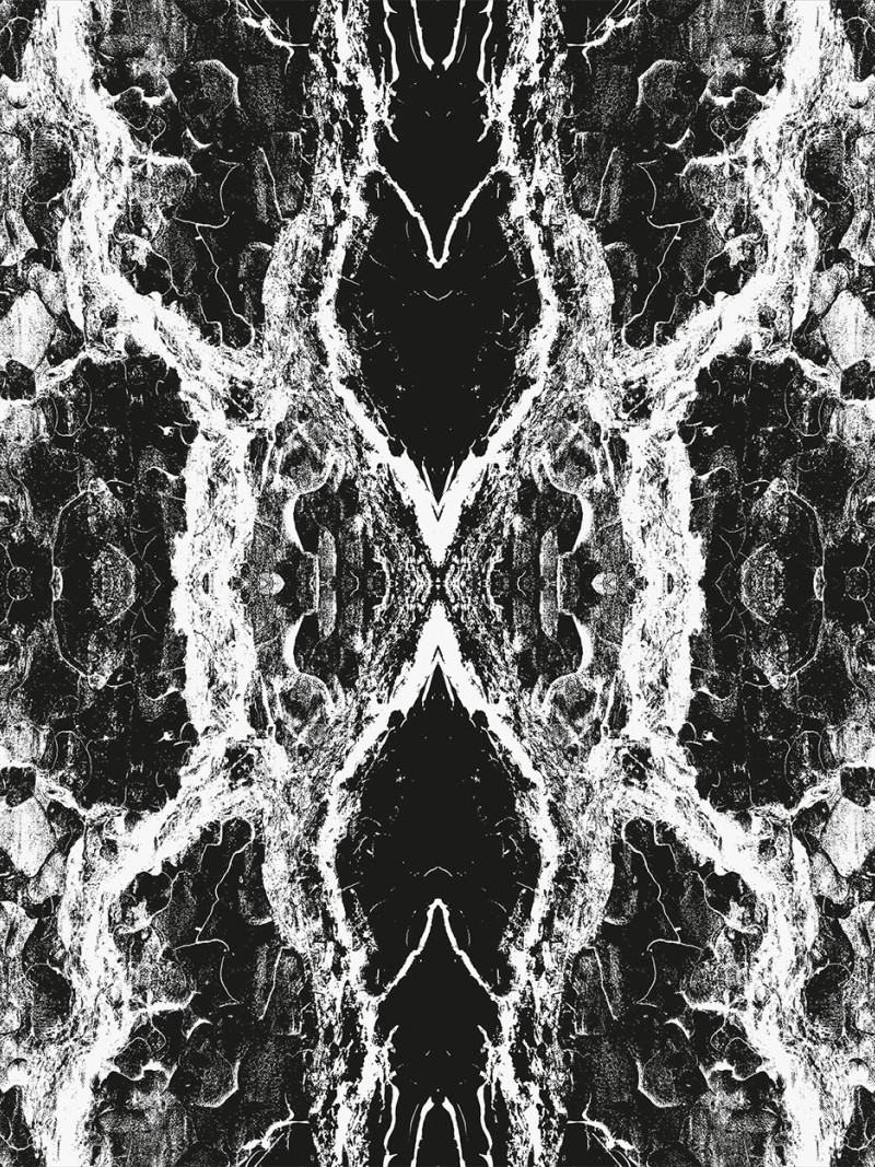 Oak Bark black-white - Thumbnail View 1