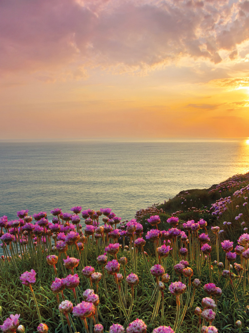 Land's End - Thumbnail View 1