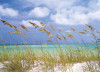 Ocean Breeze - View 1
