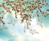 Jolies Chansons - View 1