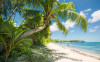 Fiji Dreams Boat  - View 1