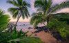 Hawaiian Dreams  - View 1