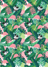 Minnie Tropical - View 1