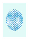 Shelly Patterns Aqua