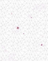 Cherry Blossom - View 1