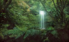 Secret Veil  - View 1