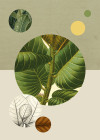 Green Structure